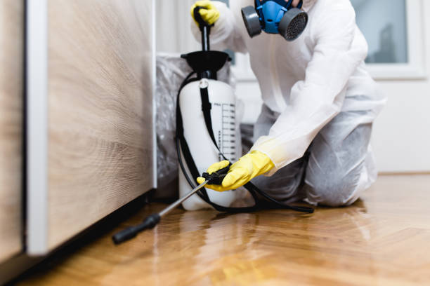 Best Exterminator Services  in Monticello, LA