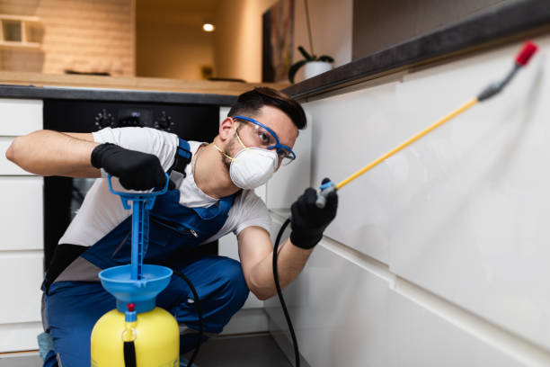 Best Emergency Pest Control  in Monticello, LA