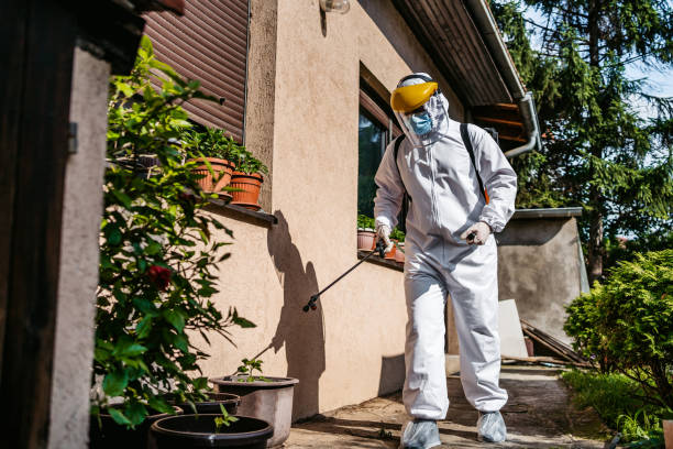 Best Spider Control Near Me  in Monticello, LA