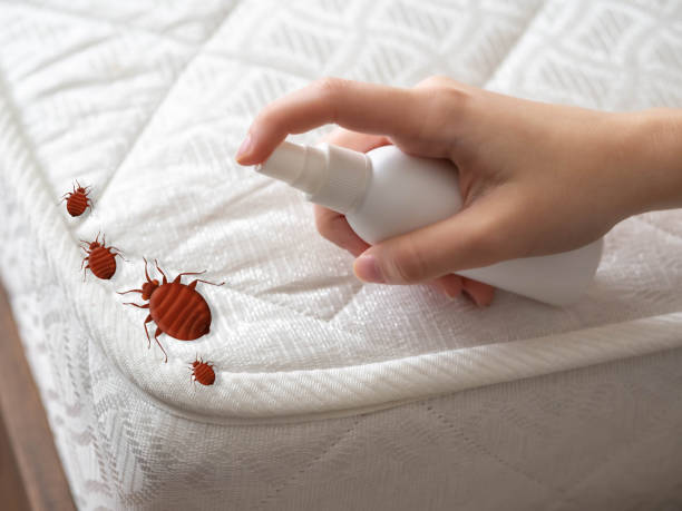 Best Pest Control Near Me  in Monticello, LA