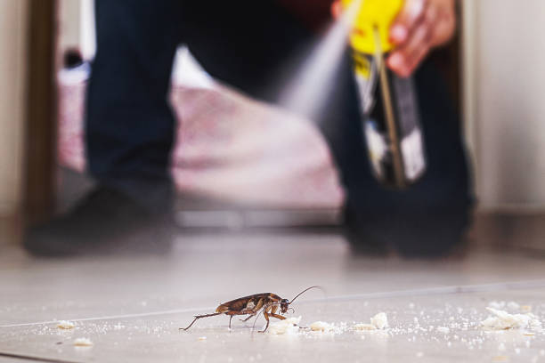 Wildlife Control Services in Monticello, LA