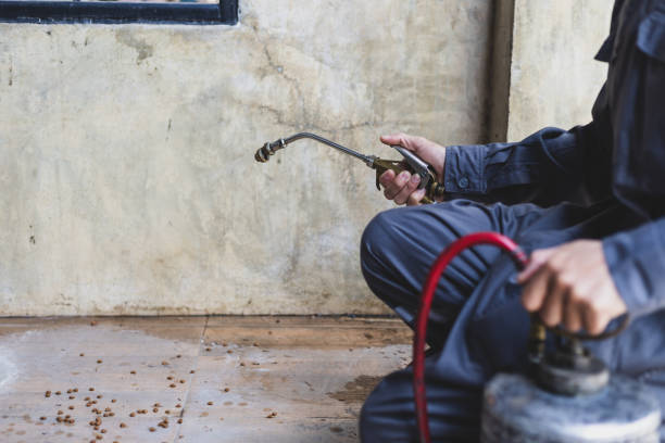 Best Pest Removal Services  in Monticello, LA
